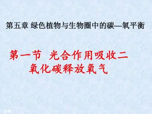 人教版生物七年级上第三单元第五章第一节《光合作用吸收二氧化碳释放氧气》课件(共36张PPT)
