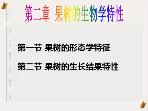 果树的生物学特性课件PPT