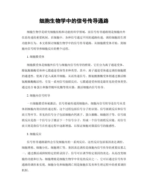 细胞生物学中的信号传导通路