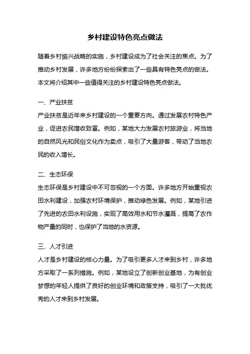 乡村建设特色亮点做法
