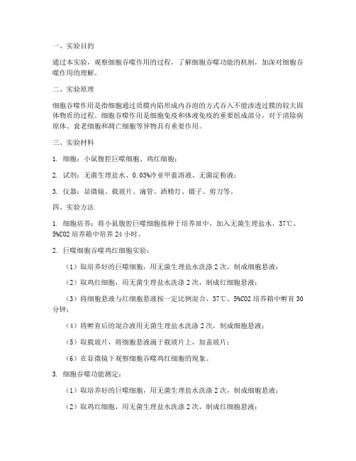 细胞吞噬实验报告