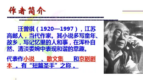 五味汪曾祺ppt课件