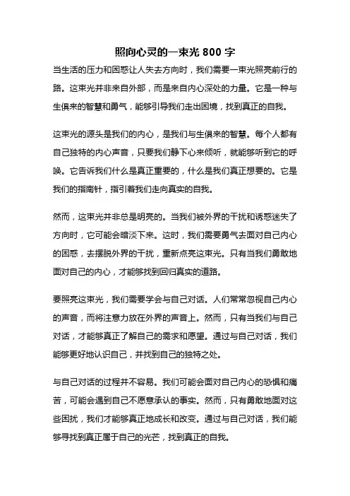 照向心灵的一束光800字