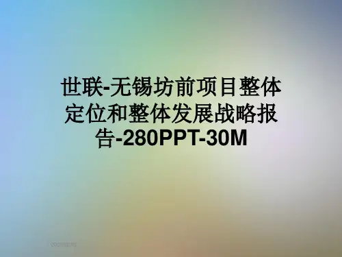 世联-无锡坊前项目整体定位和整体发展战略报告-280PPT-30M