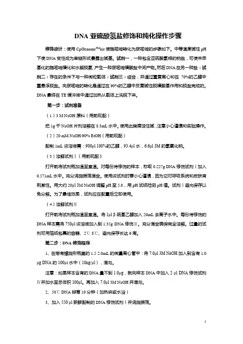 06 甲基化检测原理及步骤