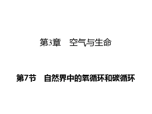 自然界中的氧循环和碳循环习题PPT课件(初中科学)
