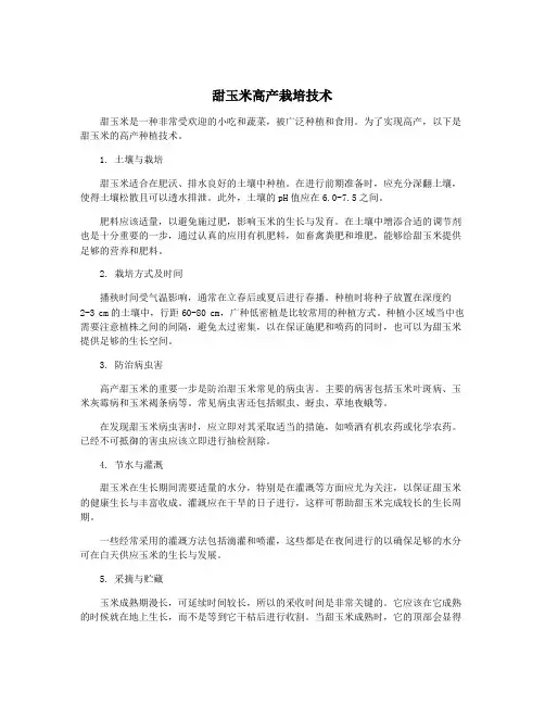 甜玉米高产栽培技术