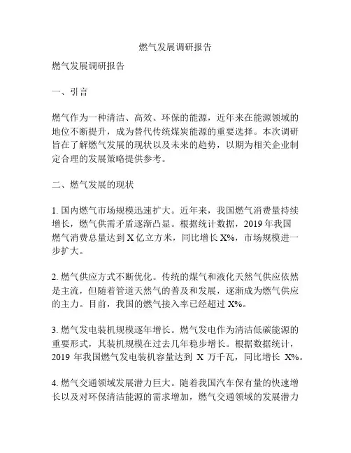 燃气发展调研报告