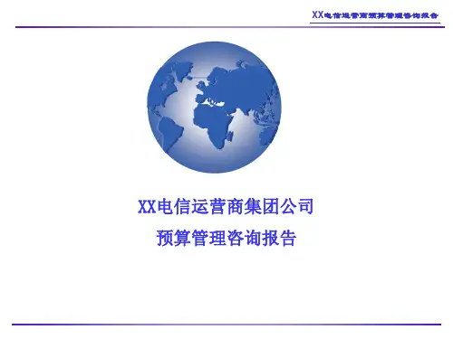 大型运营商全面预算管理咨询报告