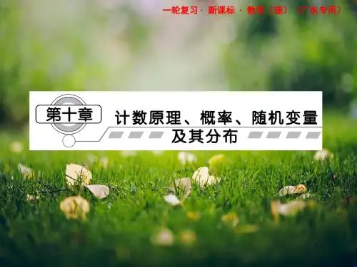 高考数学(理)一轮复习课件：第十章第一节 分类加法计数原理与分步乘法计数原理(广东专用)