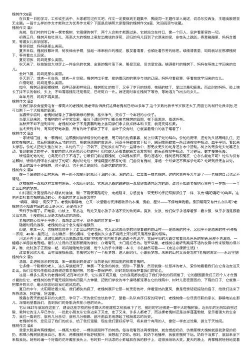 槐树作文6篇