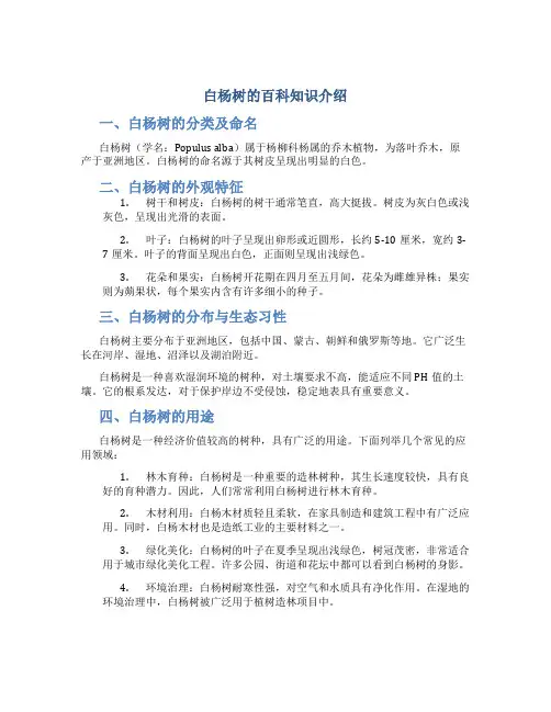 白杨树作文