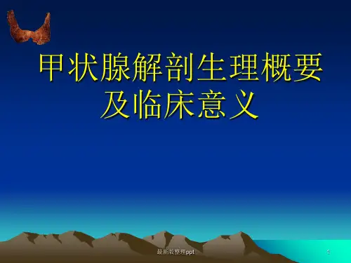 甲状腺基本解剖ppt课件