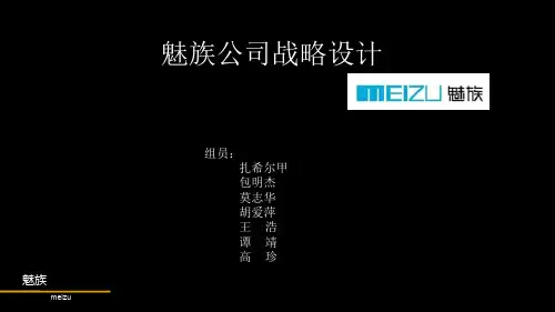 魅族公司战略设计-包括swot分析-波特五力模型分析等等