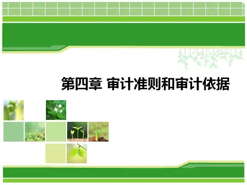 第四章 审计准则和审计依据
