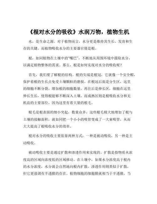《根对水分的吸收》水润万物,植物生机