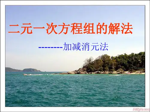 10-加减法解二元一次方程组2