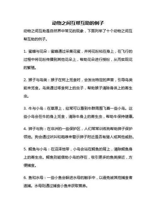 动物之间互帮互助的例子