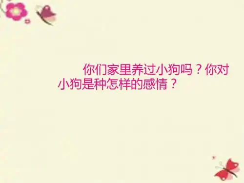 沪教版语文三下《哦,让我永远忏悔的狗》课件3