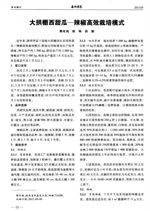 大拱棚西甜瓜-辣椒高效栽培模式