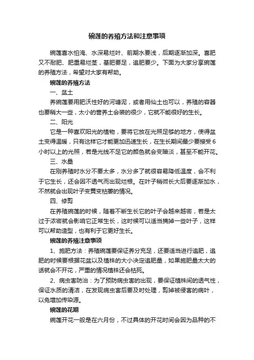碗莲的养殖方法和注意事项