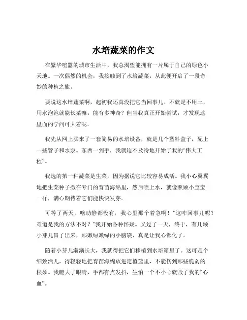 水培蔬菜的作文