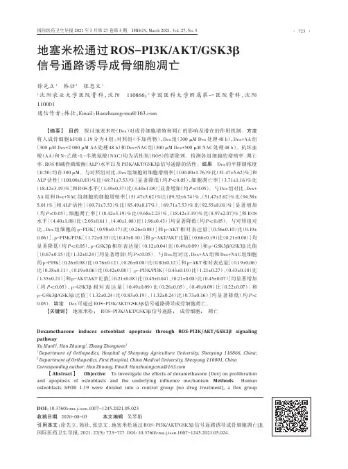 地塞米松通过ROS-PI3KAKTGSK3β信号通路诱导成骨细胞凋亡