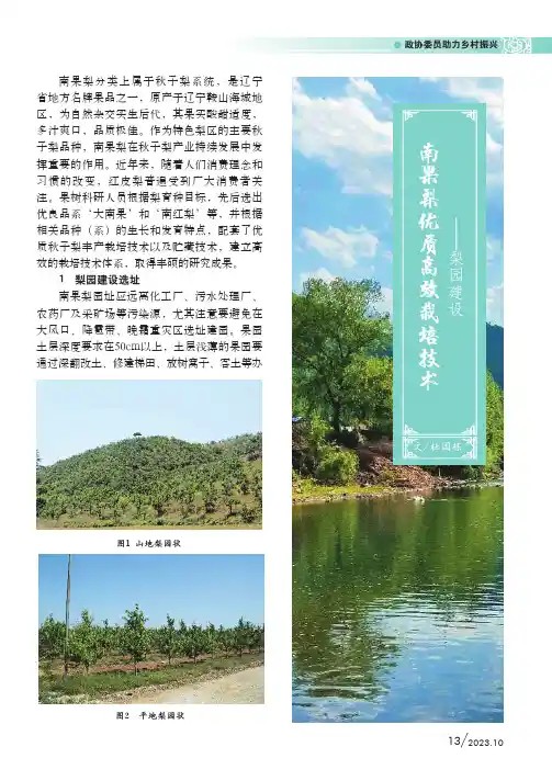 南果梨优质高效栽培技术