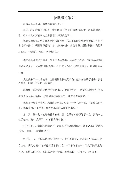 救助麻雀作文