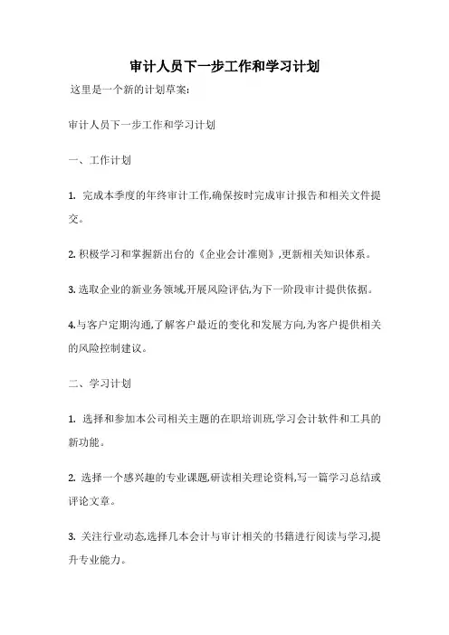 审计人员下一步工作和学习计划