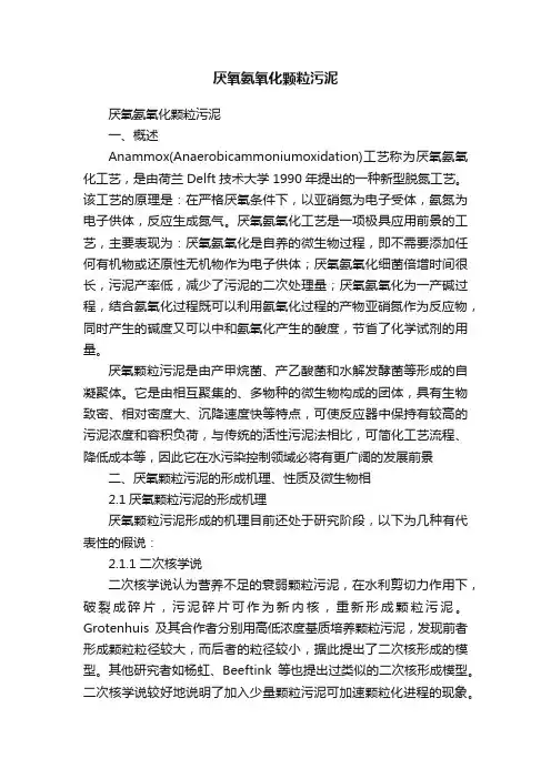 厌氧氨氧化颗粒污泥