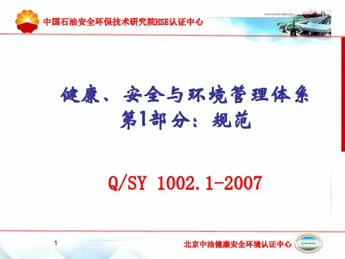 1002.1-2007 HSE体系标准课件