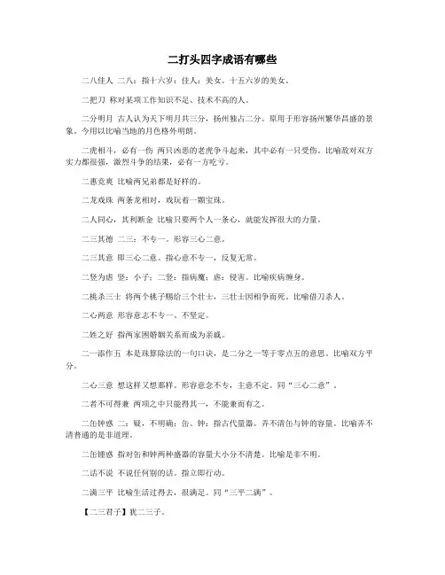 二打头四字成语有哪些