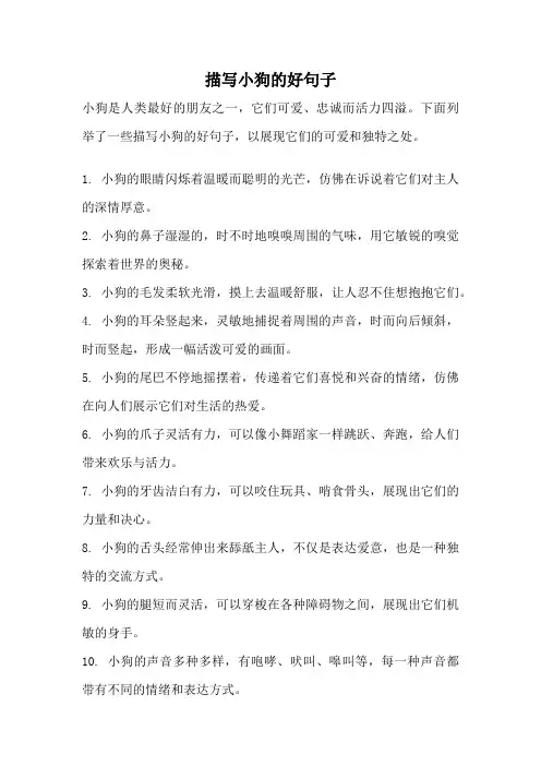 描写小狗的好句子