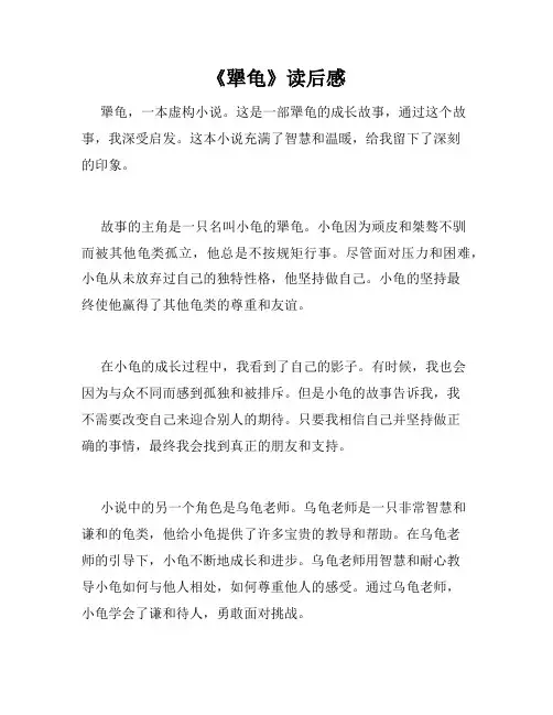 《犟龟》读后感