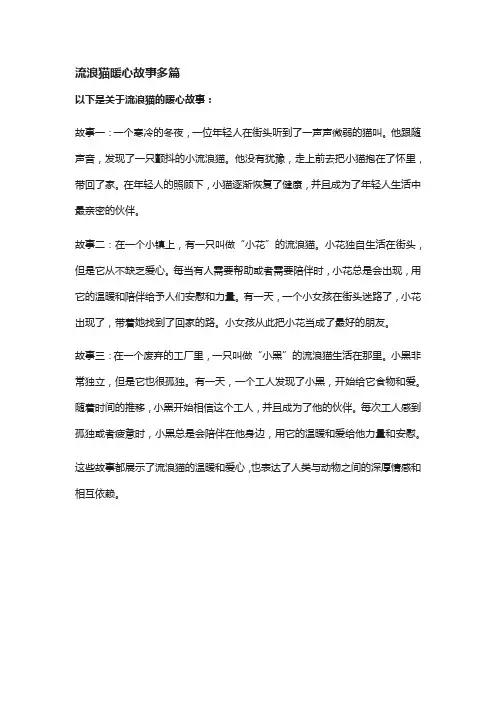 流浪猫暖心故事多篇