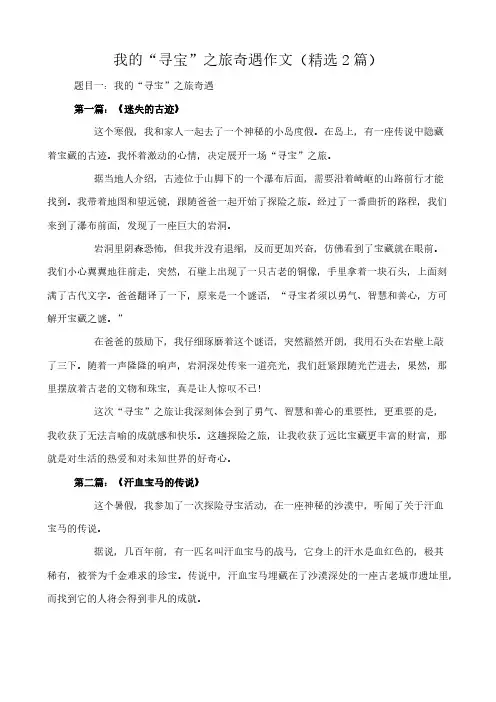 我的“寻宝”之旅奇遇 作文(精选2篇)
