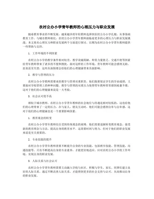 农村公办小学青年教师的心理压力与职业发展