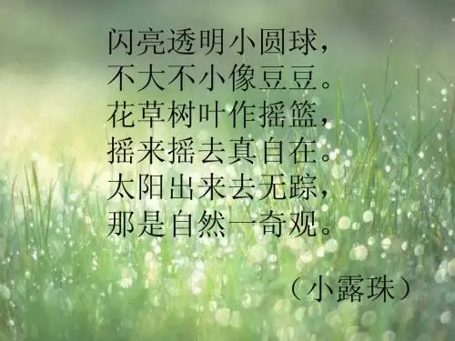 苏教版三年级语文上册15小露珠课件