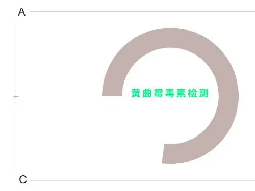 黄曲霉毒素检测