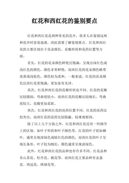 红花和西红花的鉴别要点