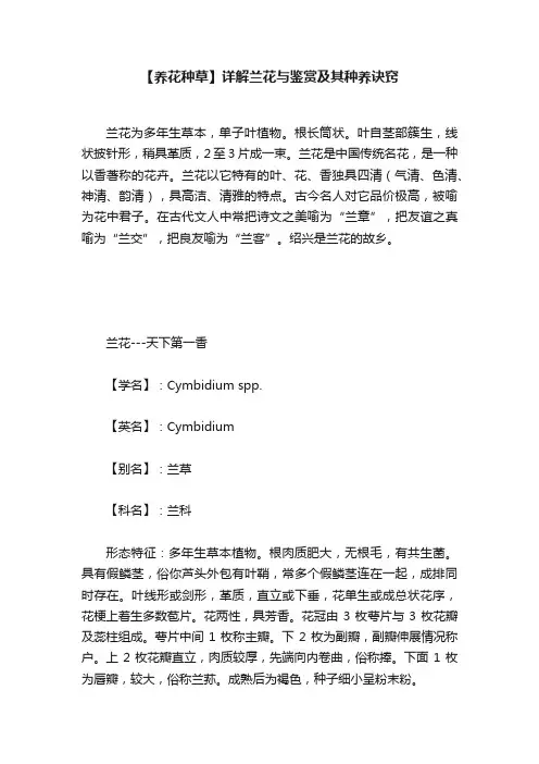 【养花种草】详解兰花与鉴赏及其种养诀窍