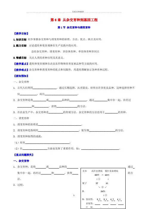 高中生物 第6章 从杂交育种到基因工程名师精选教案 新人教版必修2