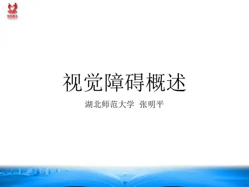 视觉障碍的概述