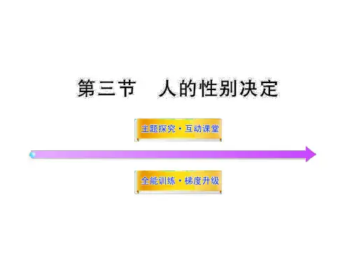 人的性别决定(苏教版八年级上)