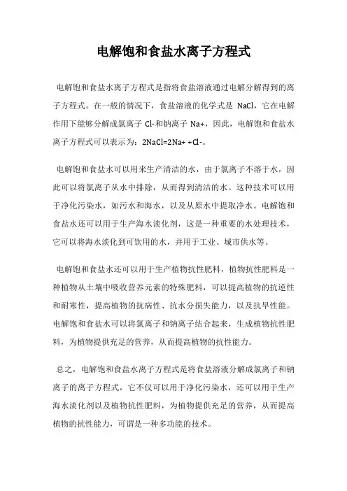 电解饱和食盐水离子方程式