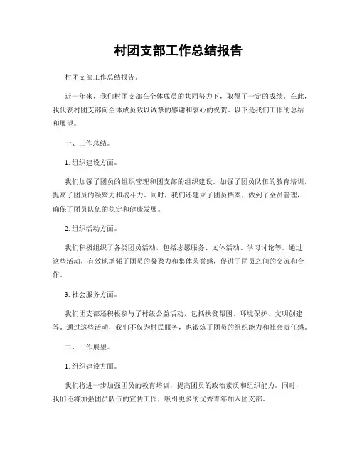村团支部工作总结报告