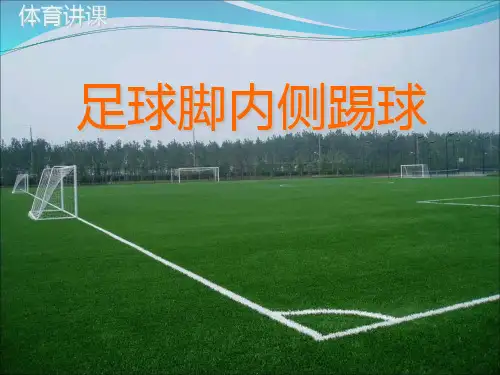 九年级体育-足球脚内侧踢球ppt课件