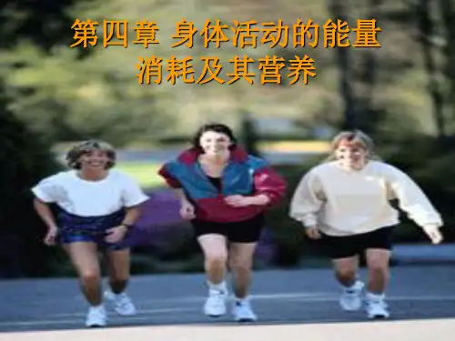 体适能评定理论与方法 运动的能量、消耗及营养.