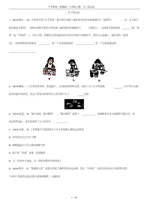 中考物理(真题版)专项练习题：分子热运动